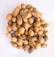 🌿 برسيم حجازي – gabaseedMedicago sativa L.