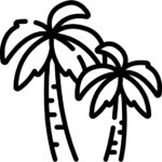 نخيل الزينة
